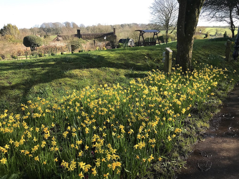 Bluebell Walks In Somerset And Dorset Muddy Stilettos Muddy Stilettos