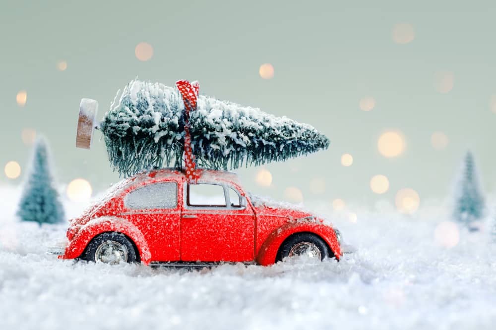 Red-car-Christmas-tree-in-show-scene.jpg