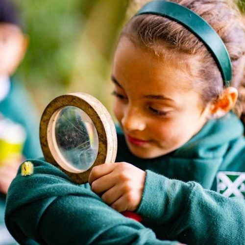 Mud and guts! 5 reasons to go wild for Forest School