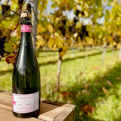 Review: Alder Ridge vineyard tour and tasting