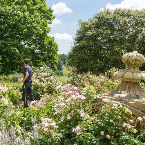 Smell the roses: 10 gorgeous summer gardens to visit
