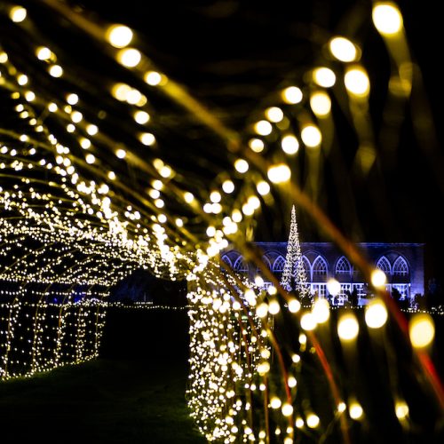 20 lovely light trails in Berkshire and beyond