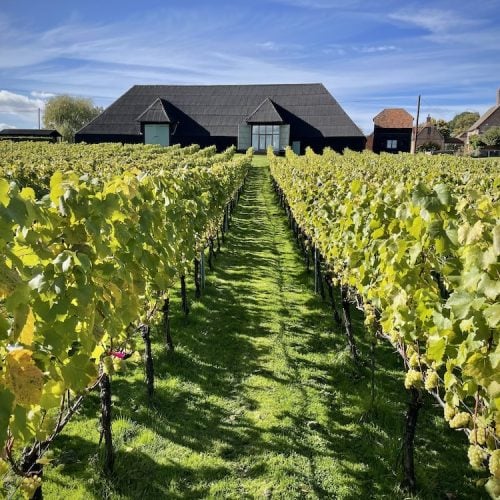 Glug! Best English wine and beautiful vineyards in Berkshire