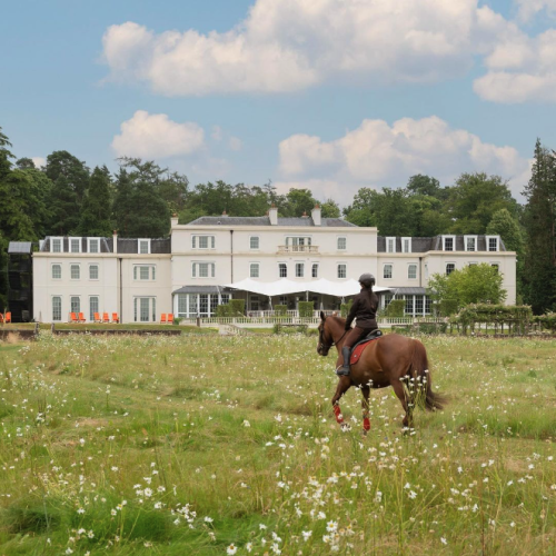 Yeehaw! Where to go horse riding in Berkshire