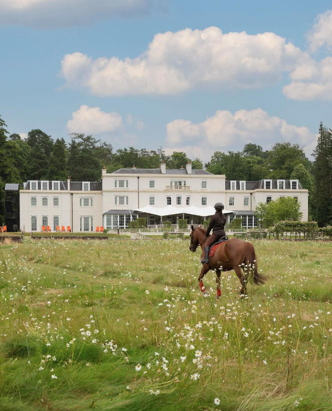 Yeehaw! Where to go horse riding in Berkshire