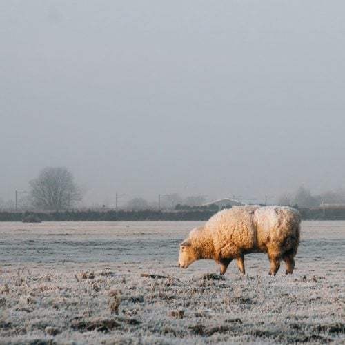 20 winter walks in Berkshire