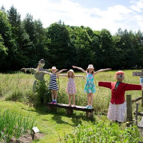 16 brilliant family things to do in Buckinghamshire