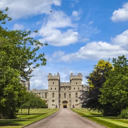 The Muddy insider guide to Windsor