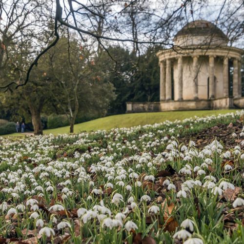 Snowdrops incoming! 14 lovely local walks with nearby pitstops