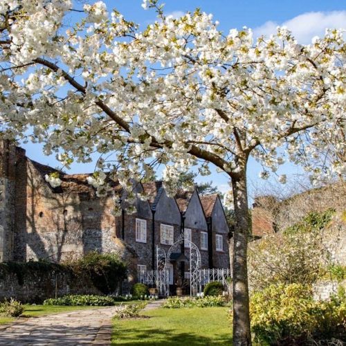 Where to see spring blossom and blooms in Bucks, Oxon &amp; beyond