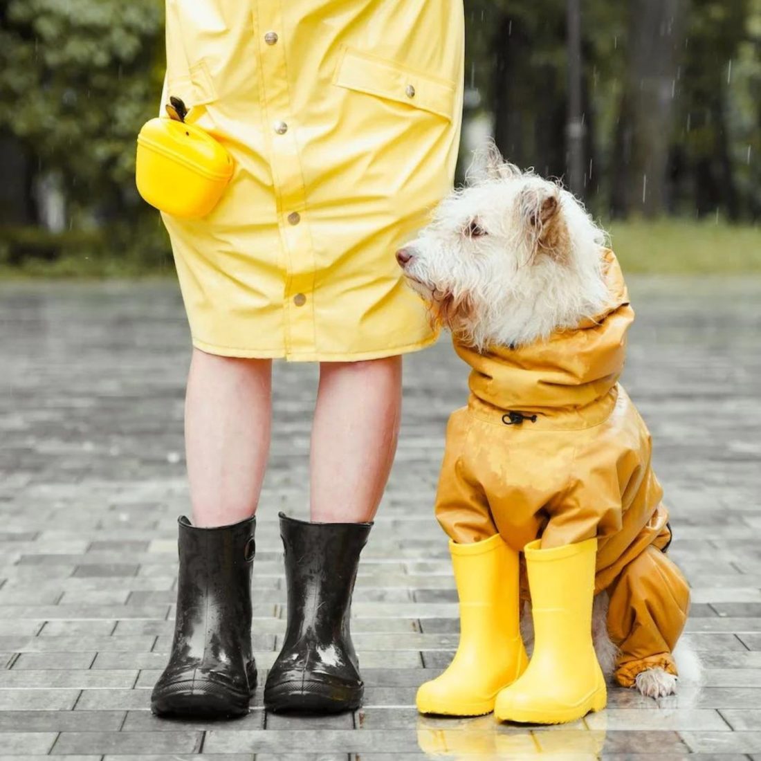 Take cover! What to do on a rainy autumn day in Bucks & Oxon