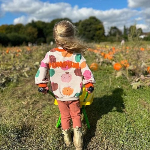 Our pick of the PYO pumpkin patches in Bucks &amp; Oxon