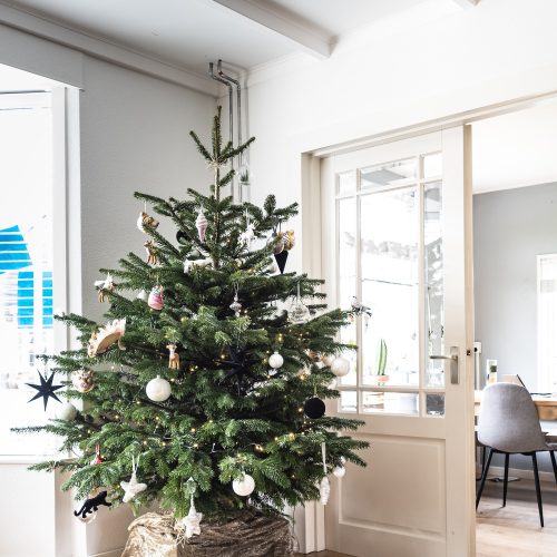 Fir real! Where to buy your Christmas tree across Bucks & Oxon this year
