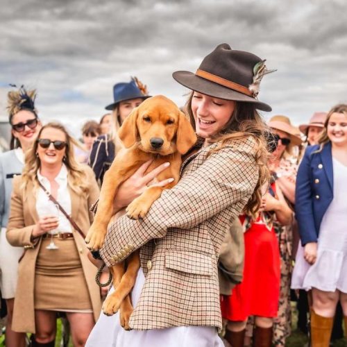Give it a shot! 7 reasons to visit The Game Fair at Blenheim Palace