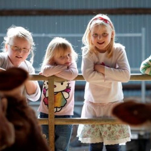 Barn storming! 6 local farms you can visit this weekend