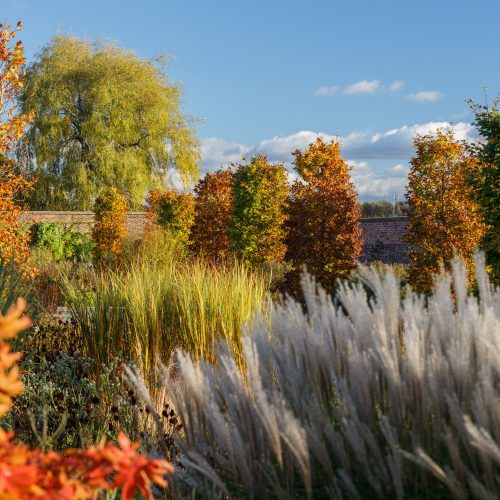 Where to see the best autumn leaves in Cheshire