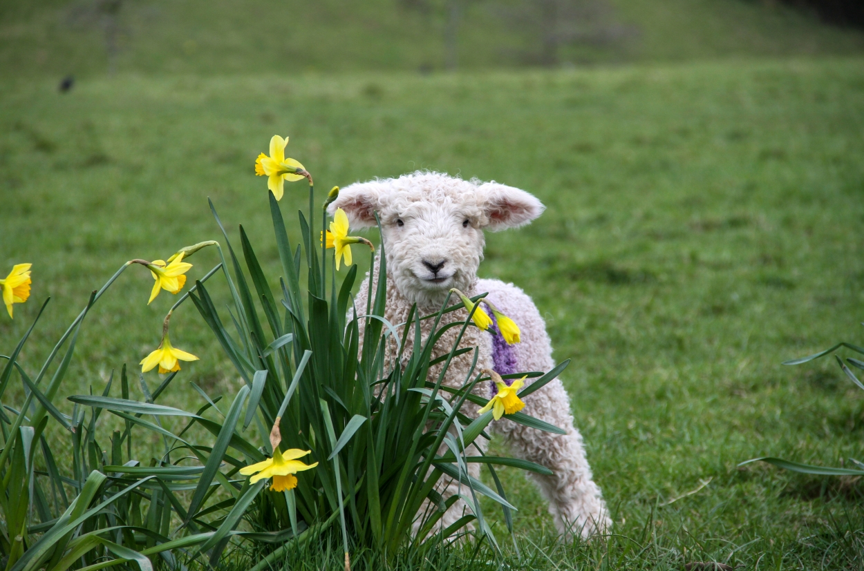 Family fun ideas for the Easter Holidays in Cornwall