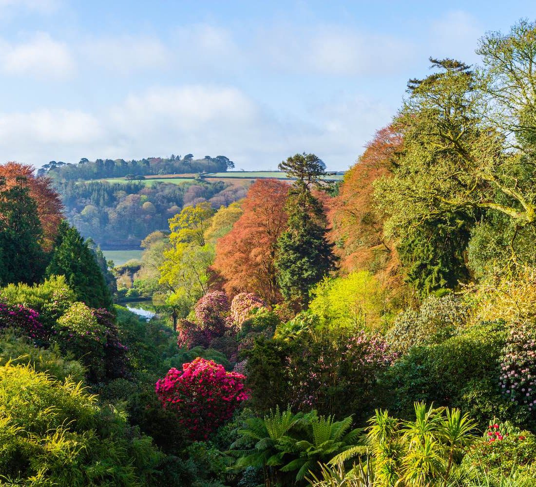 Where to see Autumn Colour in Cornwall