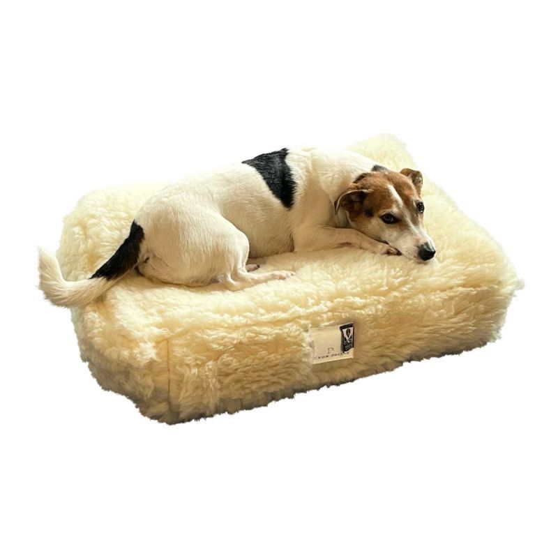 Devon Duvets dog on a mattress