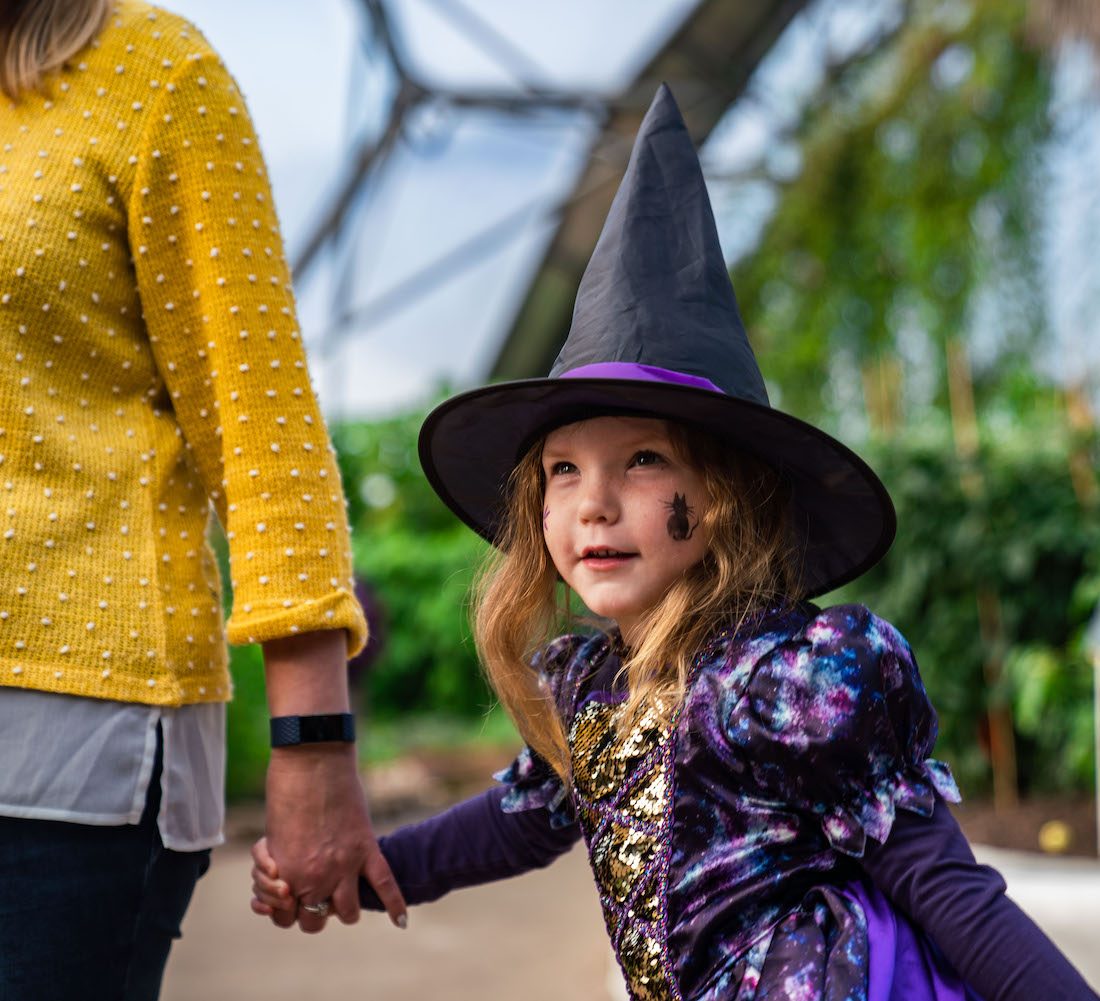 It’s not a trick! Treats for all ages for your October half term and Halloween in Cornwall