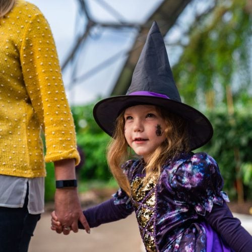 It’s not a trick! Treats for all ages for your October half term and Halloween in Cornwall