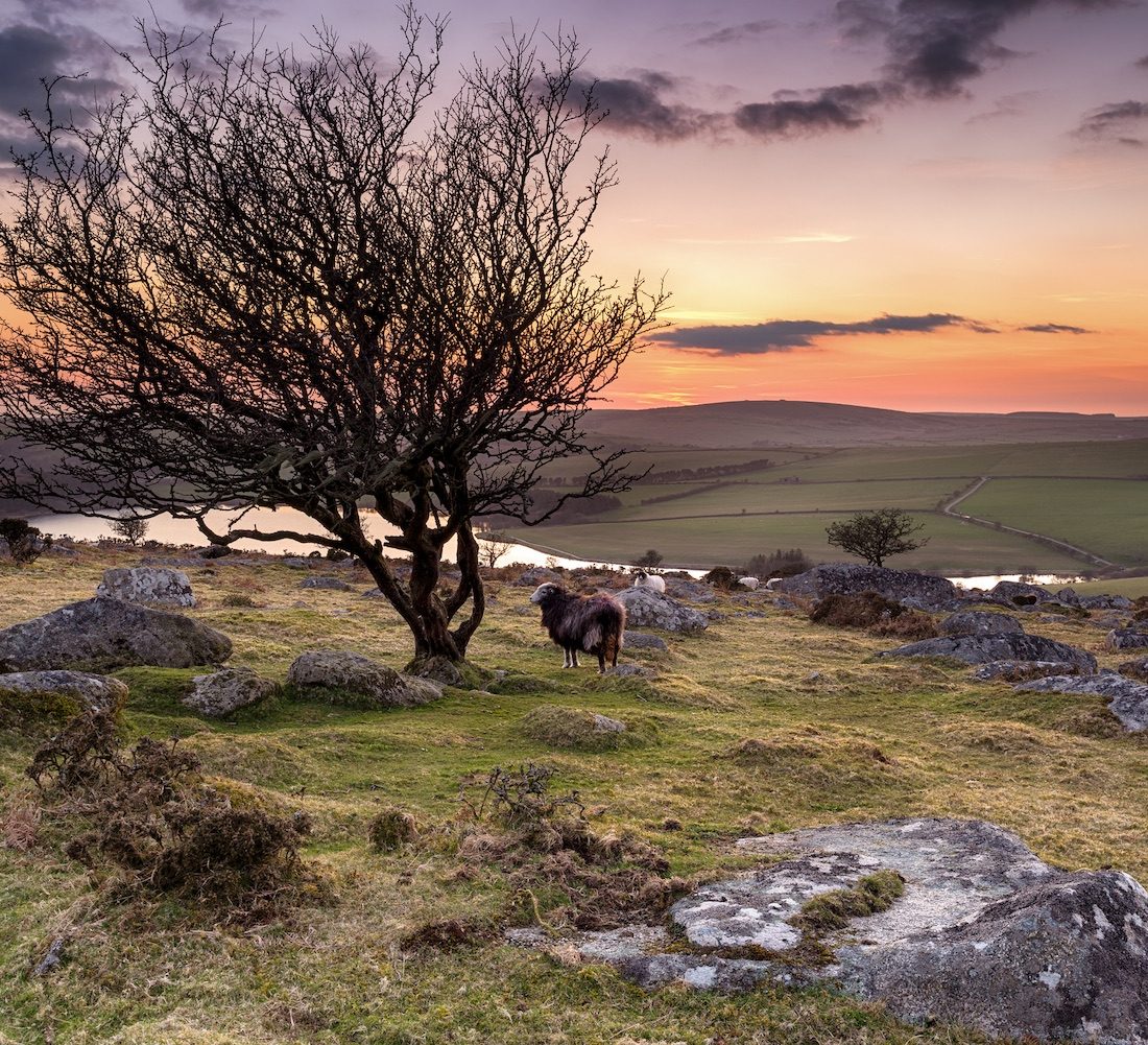 13 best Halloween events in Cornwall for grown-ups