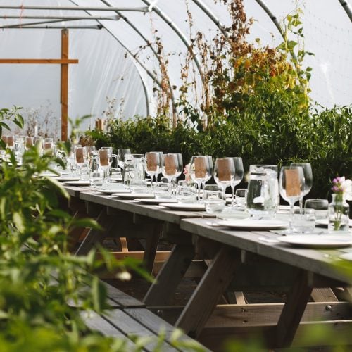 Fork to table: local farms serving up a foodie feast