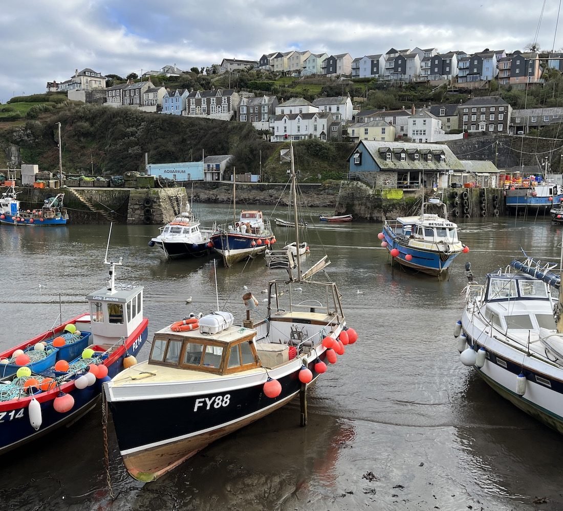 Where was Playing Nice filmed in Cornwall?