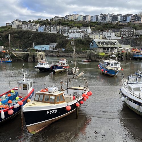 Where was Playing Nice filmed in Cornwall?