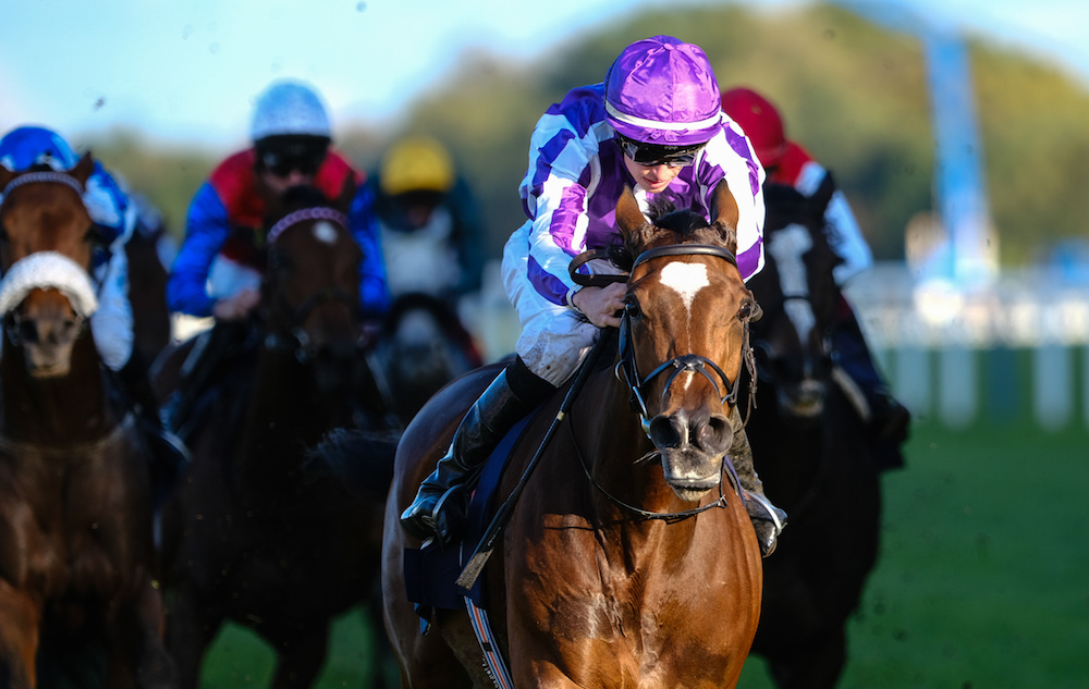 Race cards at the ready! Win an Exeter Racecourse Hospitality package for 2, worth £260