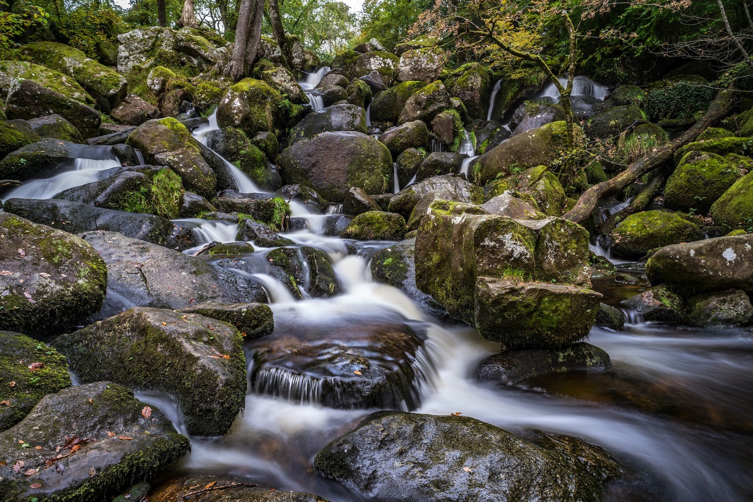 7 spectacular waterfall walks in Devon - Devon | Muddy Stilettos 
