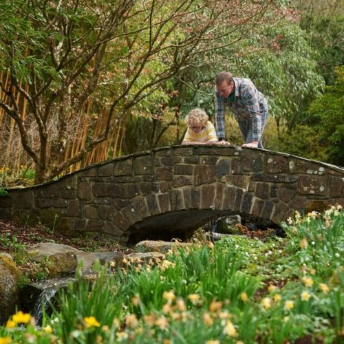 Walk this way for the best local spring gardens