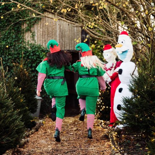 Grotto guide: 20+ places to meet Santa in Devon
