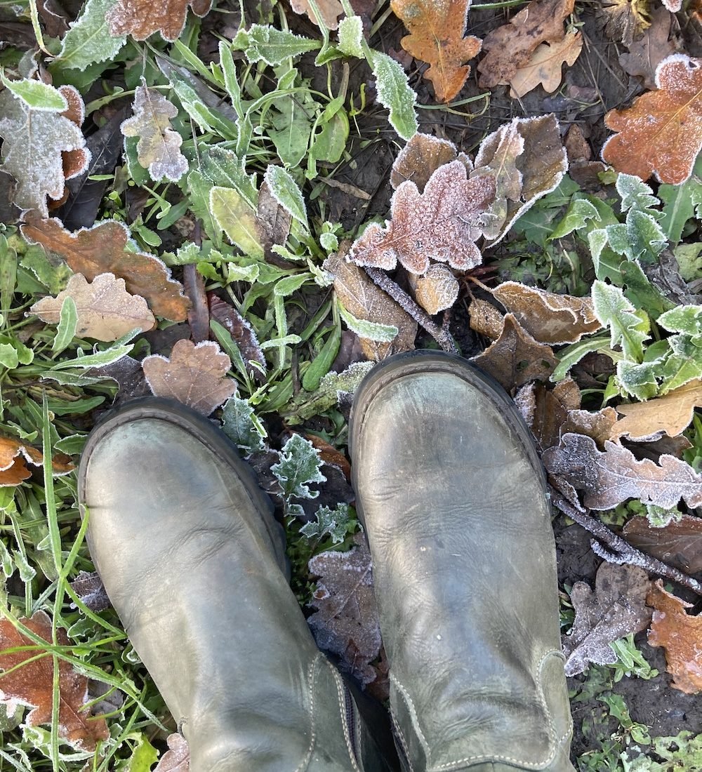 Local Boxing Day walks with cosy pub  pitstops