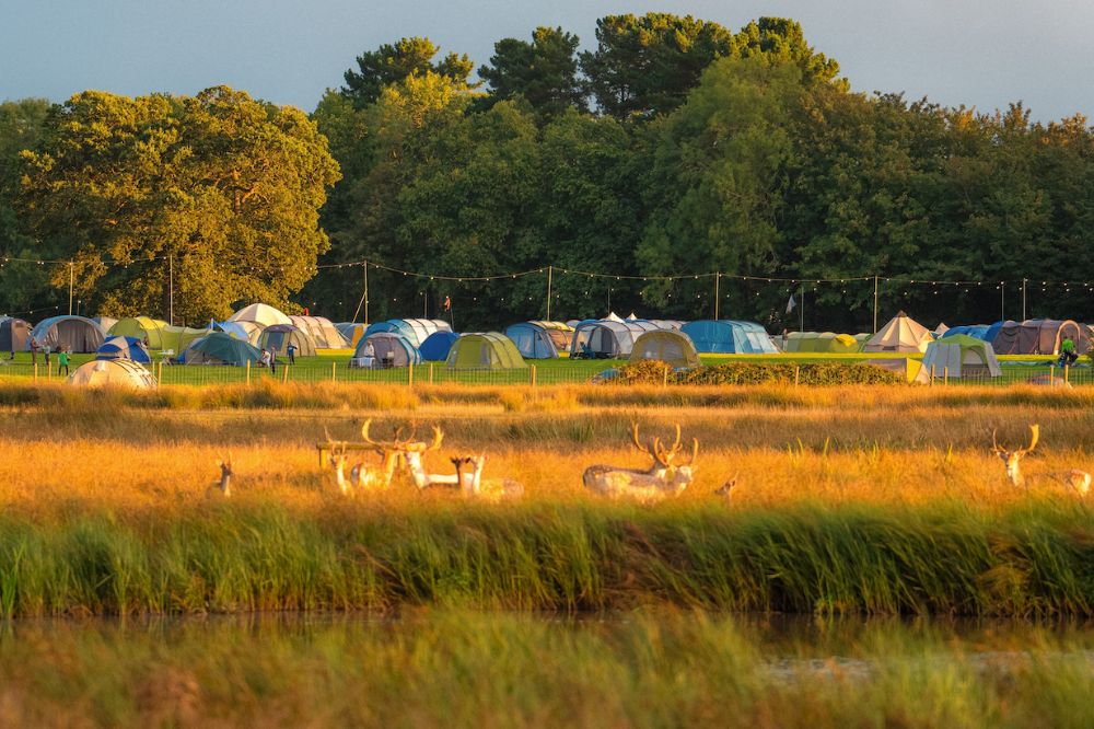 Gone Wild Festival camping