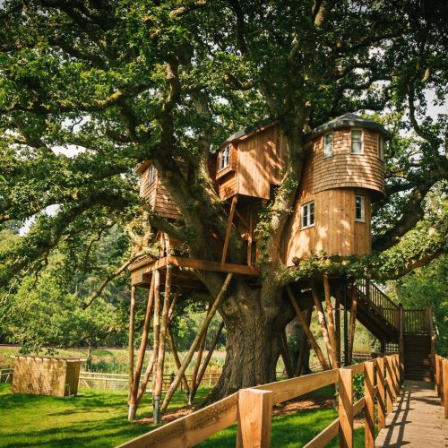 Branch out! Tip-top treehouse stays in Devon