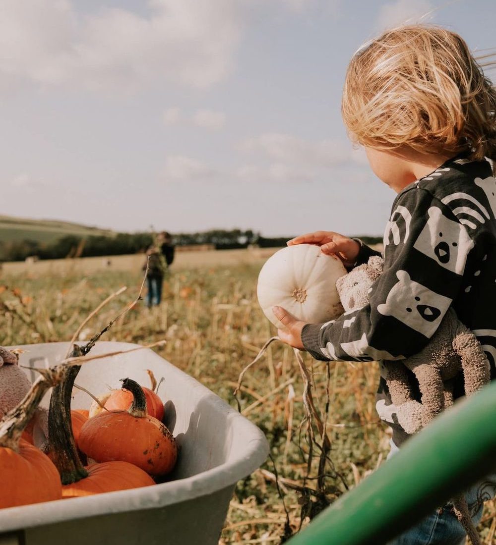 Where to pick your own Halloween pumpkins around Devon