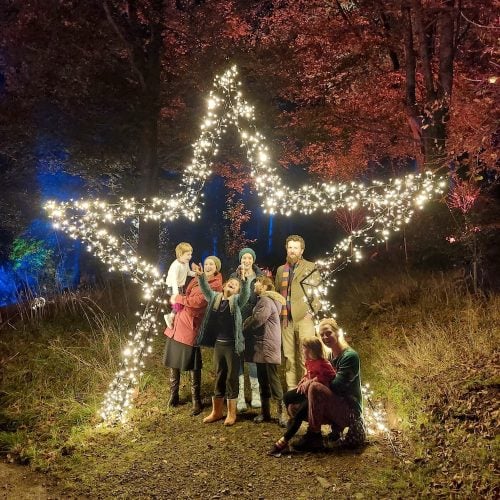 Star turn! 8 reasons to hotfoot it RHS Glow at Rosemoor