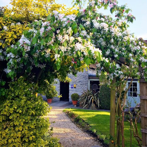 20 local pubs with great gardens