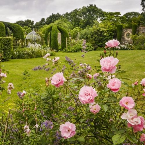 10 stunning secret gardens in Somerset &amp; Dorset
