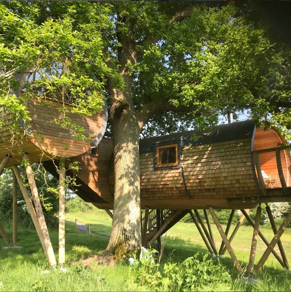 Branch out! Tip top treehouse stays in Somerset & Dorset