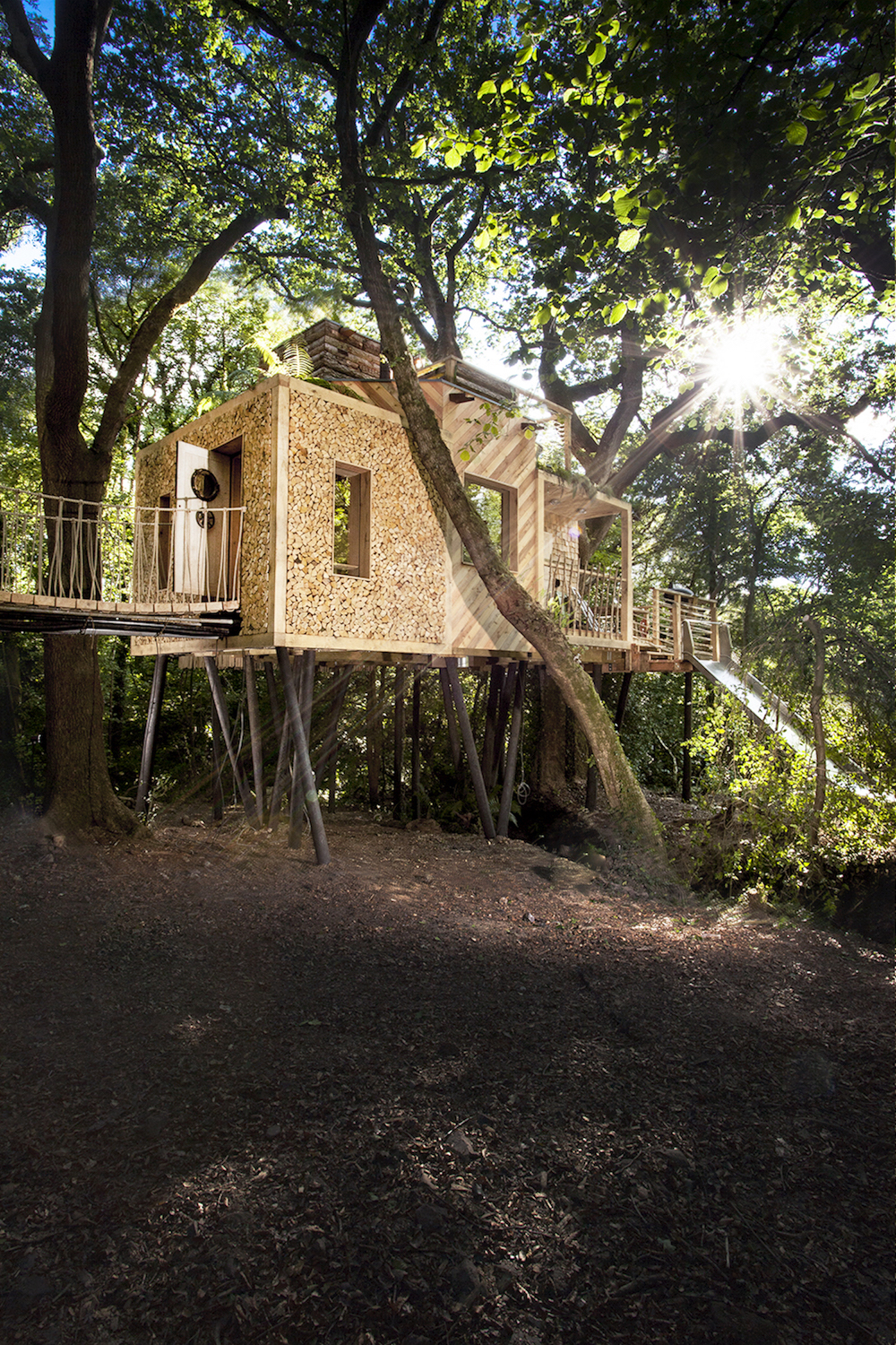 Mallinsons Woodland Retreat treehouse dorset somerset