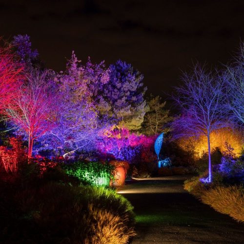 Let there be light! 8 Essex and London light trails to visit