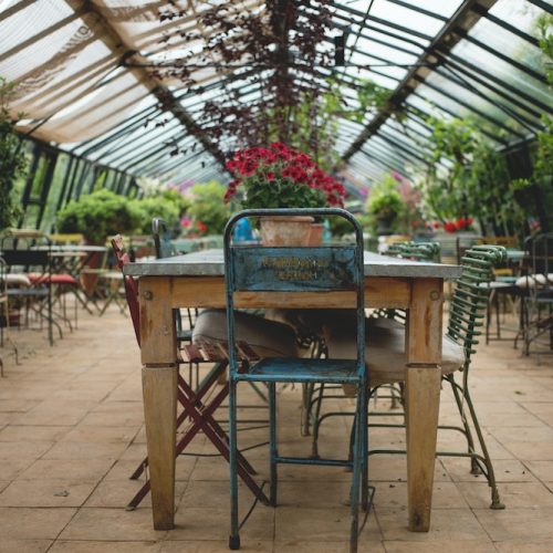 Take me there! Eight Essex garden centres with cafés