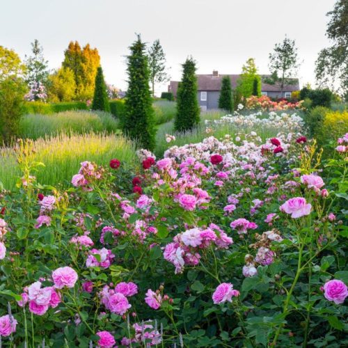 6 reasons we're loving RHS Garden Hyde Hall this Spring