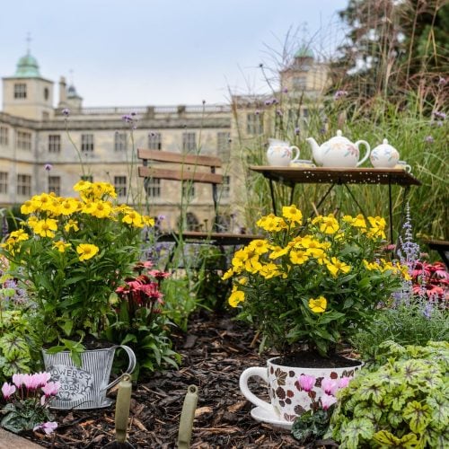 We dig it! 6 reasons to go to BBC Gardeners' World Autumn Fair