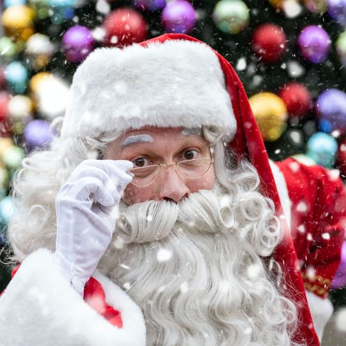 Ho Ho Go! 14 Places to see Santa this Christmas