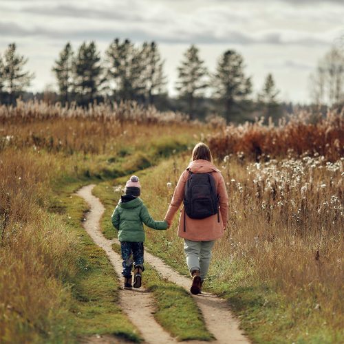 Take a hike: 11 Top trails for walking with kids