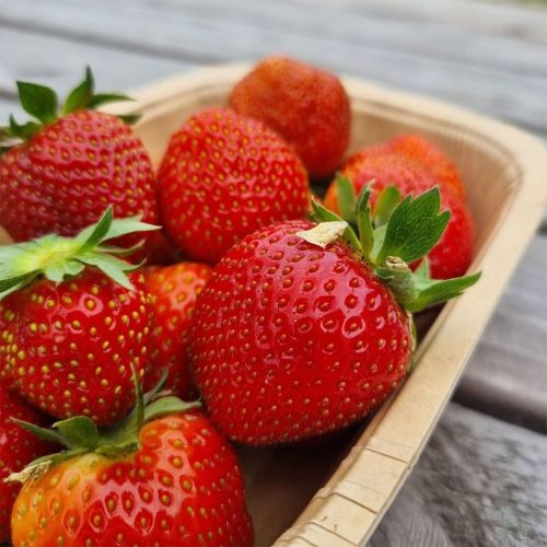 9 Best PYO fruit and flower farms