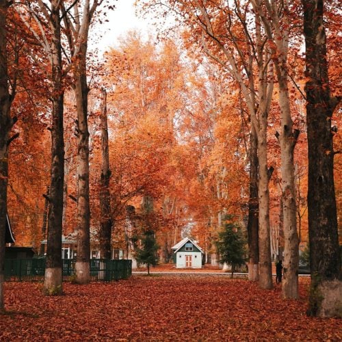50 Shades of autumn: 14 walks for eye-popping colour